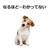 856136528