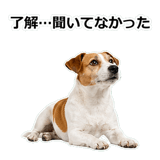 856136529