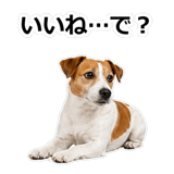 856136532