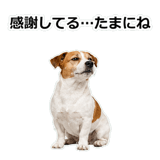 856136533