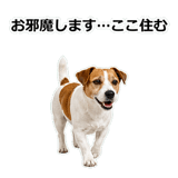 856136535