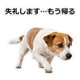 856136538
