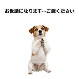 856136542