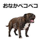 856136546