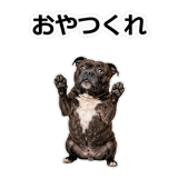 856136547