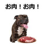 856136550