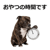 856136560