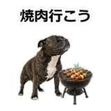 856136566