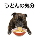 856136573