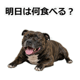 856136584