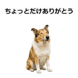 856136627