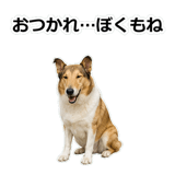856136628
