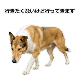 856136629
