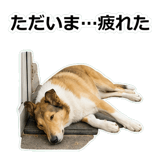 856136630