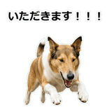 856136632