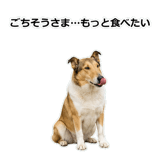 856136633