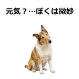 856136634