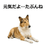856136635