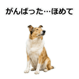 856136637