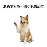 856136638