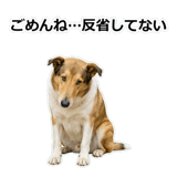 856136639
