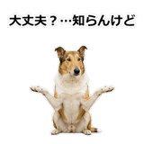 856136640