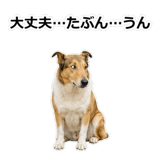 856136641