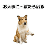 856136642