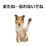 856136643