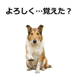 856136644
