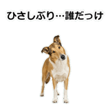 856136645