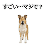 856136646