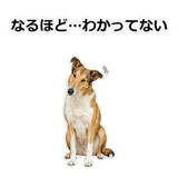 856136648