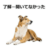 856136649