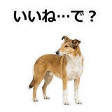 856136652