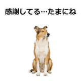 856136653