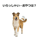 856136656
