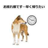 856136657