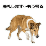 856136658