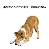 856136659