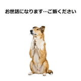 856136662