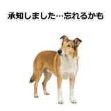 856136663