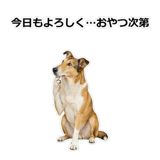 856136664