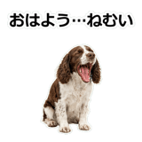 856136665