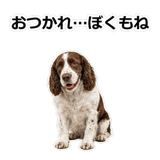 856136668