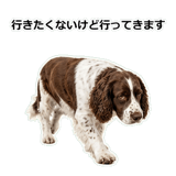 856136669