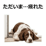856136670