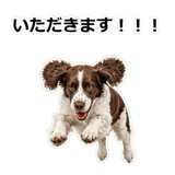 856136672