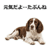856136675
