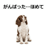 856136677